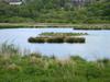 Nature Reserve Rodley